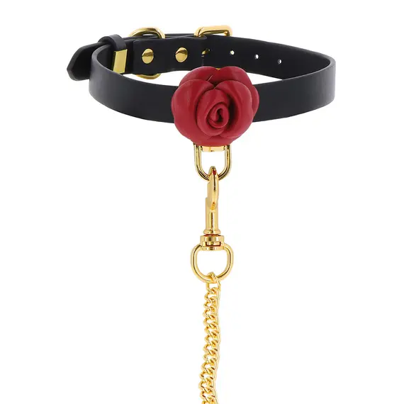 קולר לצוואר אקסקלוסיבי עם רצועה | BDSM | Wild Roses Collar & Leash TABOOM, 7 image