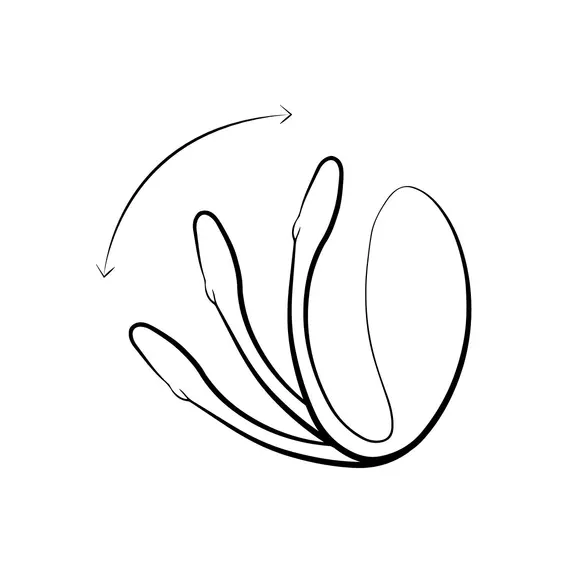 ויברטור ביצה זוגי עם אפליקציה | Jive Lite | WE VIBE, שחור, 5 image