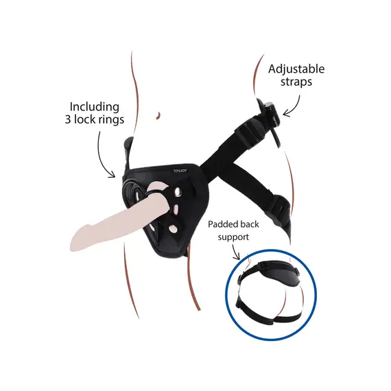 סטראפ-און | Strap-On Full Cover Harness TOYJOY, שחור, 6 image