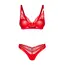 סט הלבשה תחתונה סקסי 2 חלקים | ALIOSA OBSESSIVE, אדום, 2XL-3XL, צבע: אדום,  מידה: 2XL-3XL, 2 image