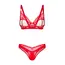 סט הלבשה תחתונה סקסי 2 חלקים | ALIOSA OBSESSIVE, אדום, 2XL-3XL, צבע: אדום,  מידה: 2XL-3XL, 4 image